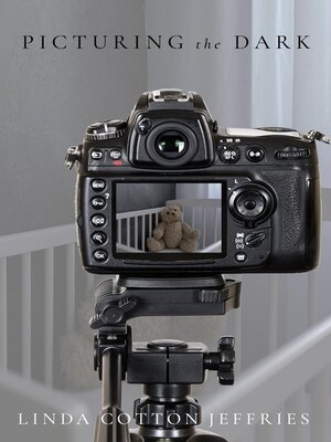cover image of Picturing the Dark